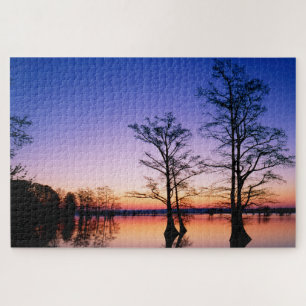 Bald Cypress Trees   National Wildlife Refuge, TN Jigsaw Puzzle