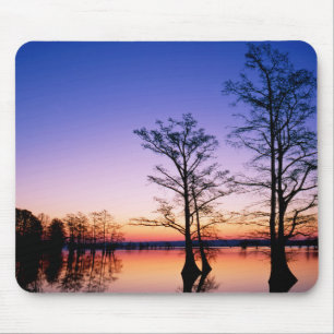 Bald Cypress Trees National Wildlife Refuge, TN Mouse Pad