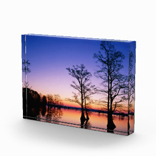Bald Cypress Trees National Wildlife Refuge, TN Photo Block