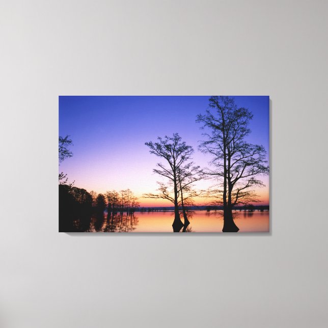 Bald cypress trees silhouetted at sunset, canvas print (Front)