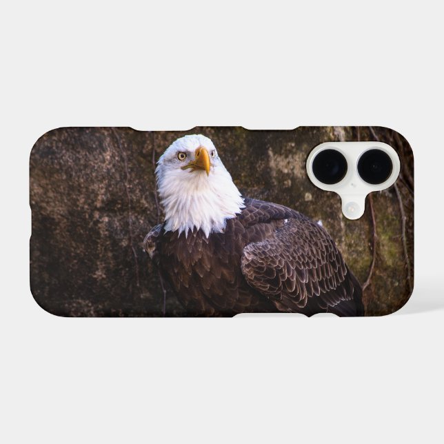 Bald Eagle (Back (Horizontal))