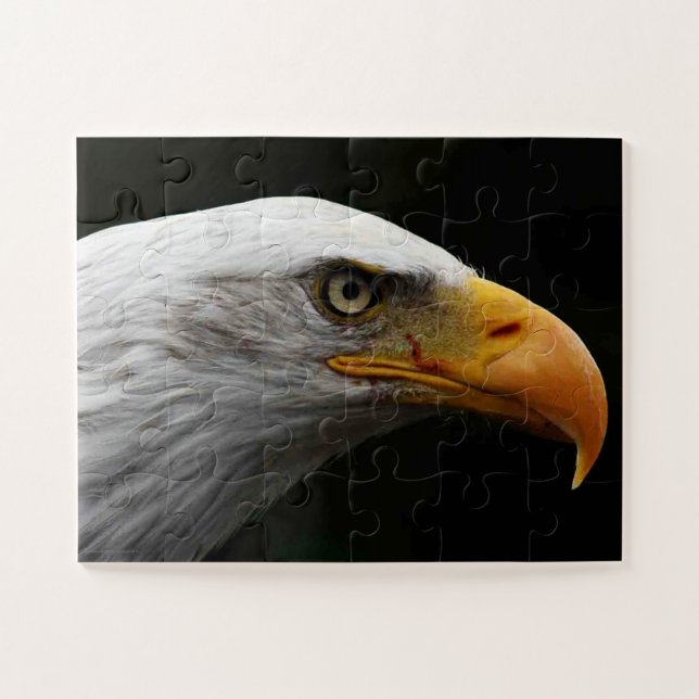 Bald Eagle 11x14 30pc jpcna Jigsaw Puzzle (Horizontal)