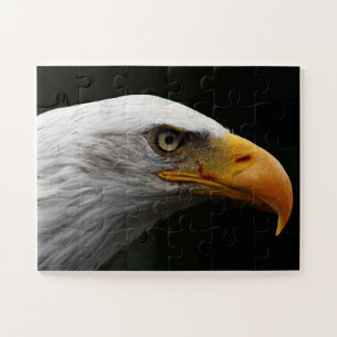 Bald Eagle 11x14 30pc jpm Jigsaw Puzzle