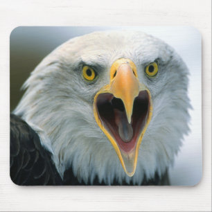 Bald Eagle #2-Mousepad Mouse Pad