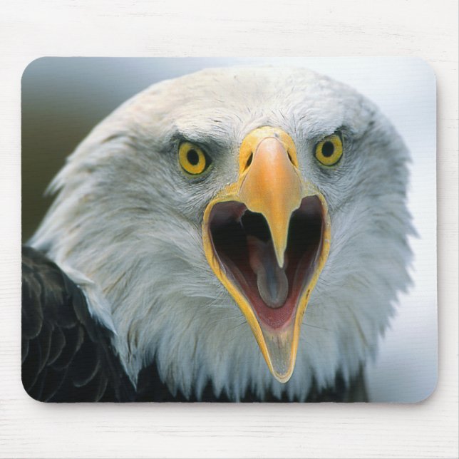 Bald Eagle #2-Mousepad Mouse Pad (Front)
