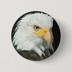 Bald Eagle 6 Cm Round Badge