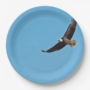 Bald Eagle 7 Paper Plate