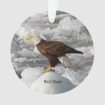 Bald Eagle acrylic ornamet