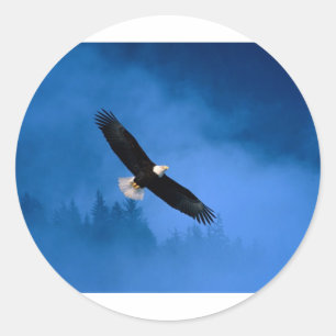 Bald-Eagle-Alaska Classic Round Sticker