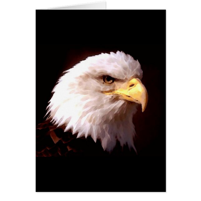 Bald Eagle American Eagle (Front)