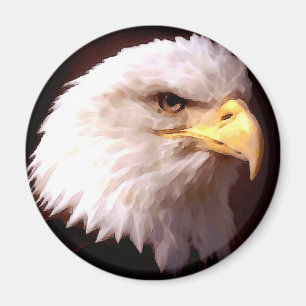 Bald Eagle American Eagle Magnet