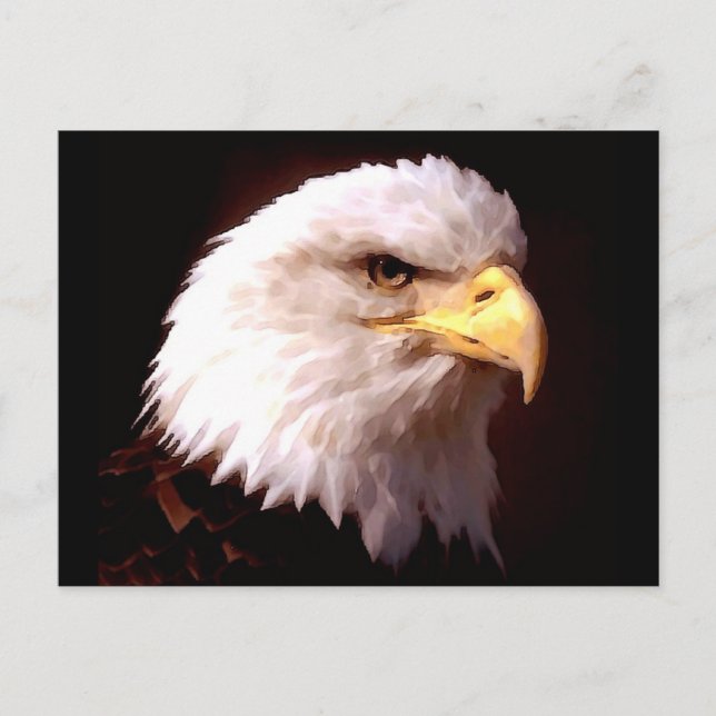 Bald Eagle American Eagle Postcard (Front)