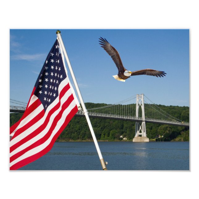 Bald Eagle (American Pride) Photo Print (Front)