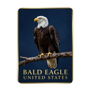 🦅 Bald Eagle American Wilderness Magnet