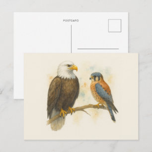 Bald Eagle and American Kestrel Raptor Postcard