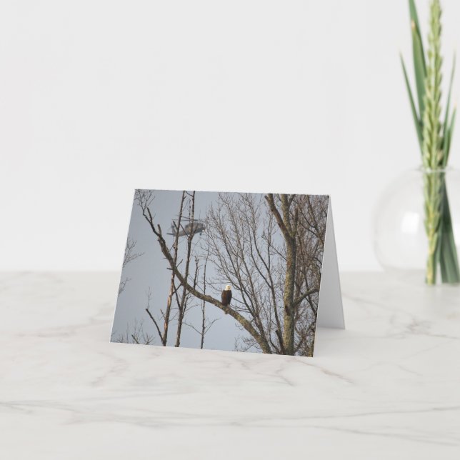 Bald Eagle and Blackhawk Notecard - Blank Inside (Front)