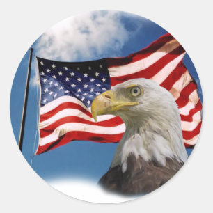 bald eagle and flag classic round sticker