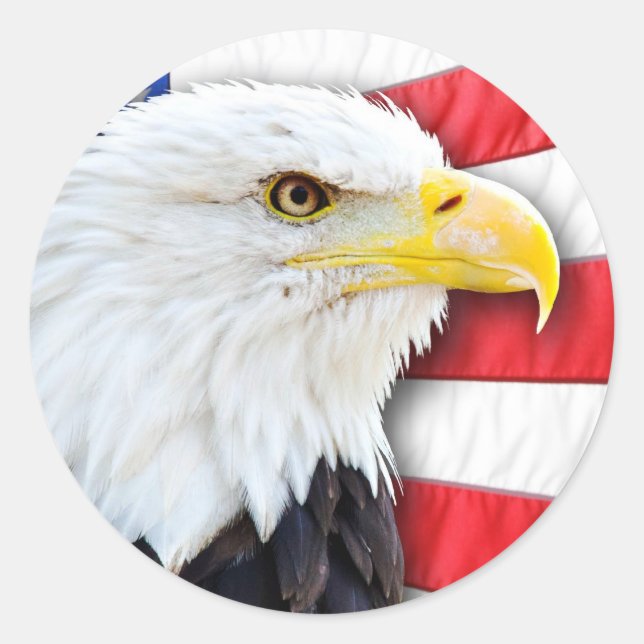 Bald Eagle and Flag Classic Round Sticker (Front)