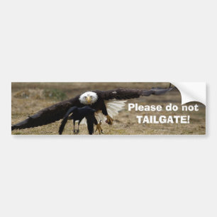 Bald Eagle and Raven Chase Funny Bumpersticker Bumper Sticker