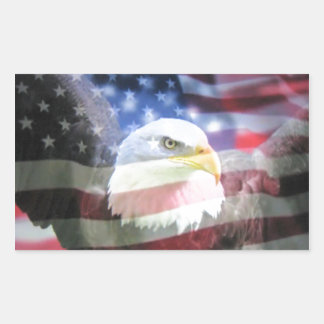 bald eagle and U.S.A. flag Rectangular Sticker