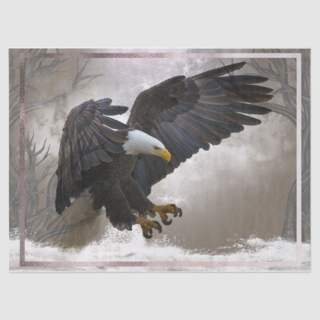 Bald Eagle Artwork Decoupage Tissue Paper (Front)