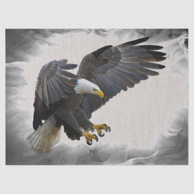 Bald Eagle Artwork Decoupage Tissue Paper (Front)