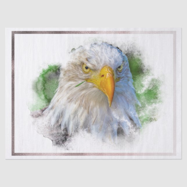 Bald Eagle Artwork Decoupage Tissue Paper (Front)