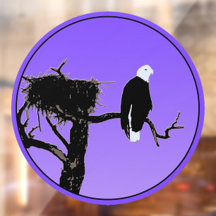 Bald Eagle at Sunset - Original Wildlife Art