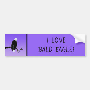 Bald Eagle at Sunset  - Original Wildlife Art Bumper Sticker
