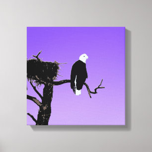 Bald Eagle at Sunset  - Original Wildlife Art Canvas Print
