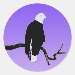 Bald Eagle at Sunset  - Original Wildlife Art Classic Round Sticker