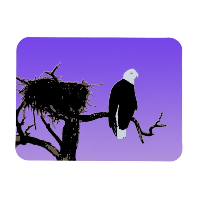 Bald Eagle at Sunset  - Original Wildlife Art Magnet (Horizontal)