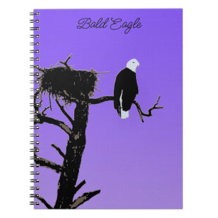 Bald Eagle at Sunset - Original Wildlife Art Notebook