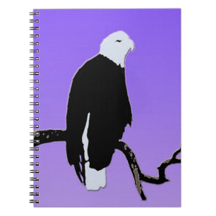 Bald Eagle at Sunset - Original Wildlife Art Notebook