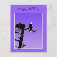 Bald Eagle at Sunset - Original Wildlife Art