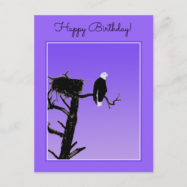 Bald Eagle at Sunset  - Original Wildlife Art Postcard (Front)