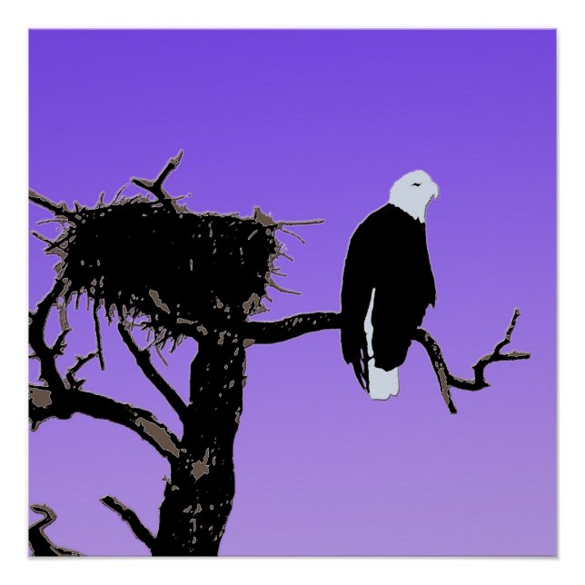 Bald Eagle at Sunset  - Original Wildlife Art Poster (Front)