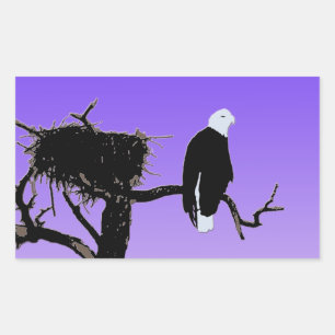 Bald Eagle at Sunset  - Original Wildlife Art Rectangular Sticker