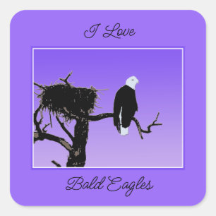 Bald Eagle at Sunset  - Original Wildlife Art Square Sticker