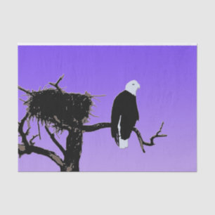 Bald Eagle at Sunset  - Original Wildlife Art Tissue Paper