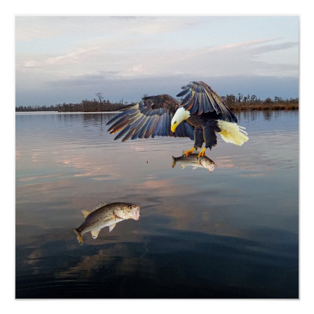 Bald Eagle Bass Fishing Poster (Front)