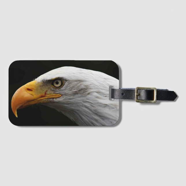 Bald Eagle bc ltm Luggage Tag (Front Horizontal)
