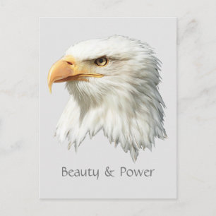 Bald Eagle Beauty & Power customisable Postcard