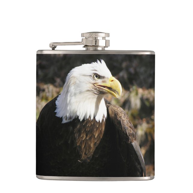 Bald Eagle Bird Hip Flask (Front)