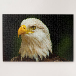 Bald Eagle Bird of Prey. Jigsaw Puzzle
