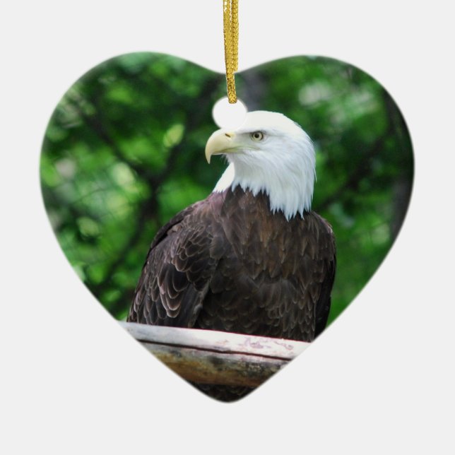 Bald Eagle Bird Ornament (Front)
