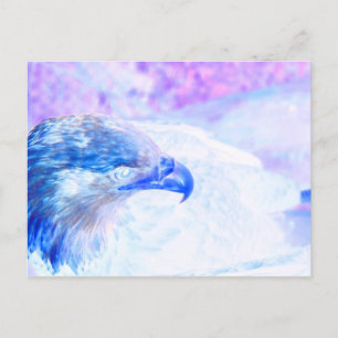 bald eagle blue purple facing right postcard
