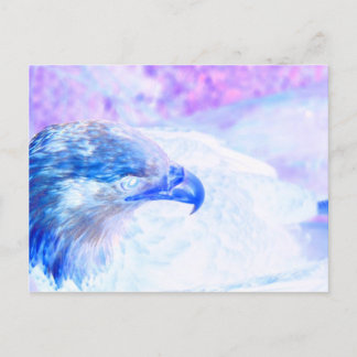 bald eagle blue purple facing right postcard