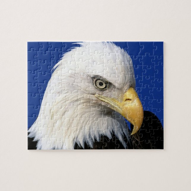Bald Eagle Blue Sky Family Quiet Fun Jigsaw Puzzle (Horizontal)