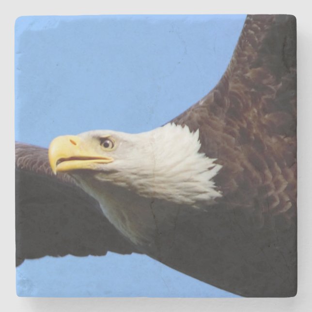 Bald Eagle Blue Sky Stone Coaster (Front)